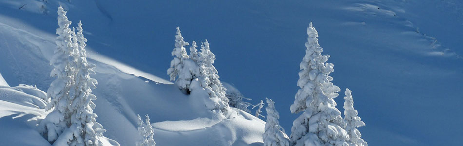 网页在线DDOS压力测试