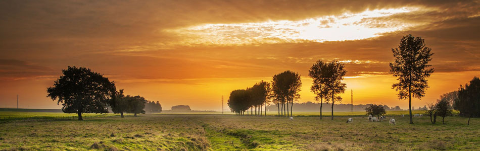 免费cc攻击测试